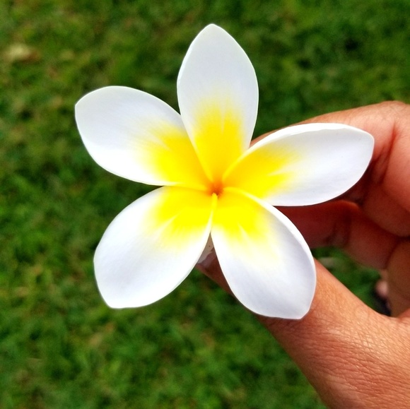 Meet your Posher, Yesmin - Picture 1 of 1